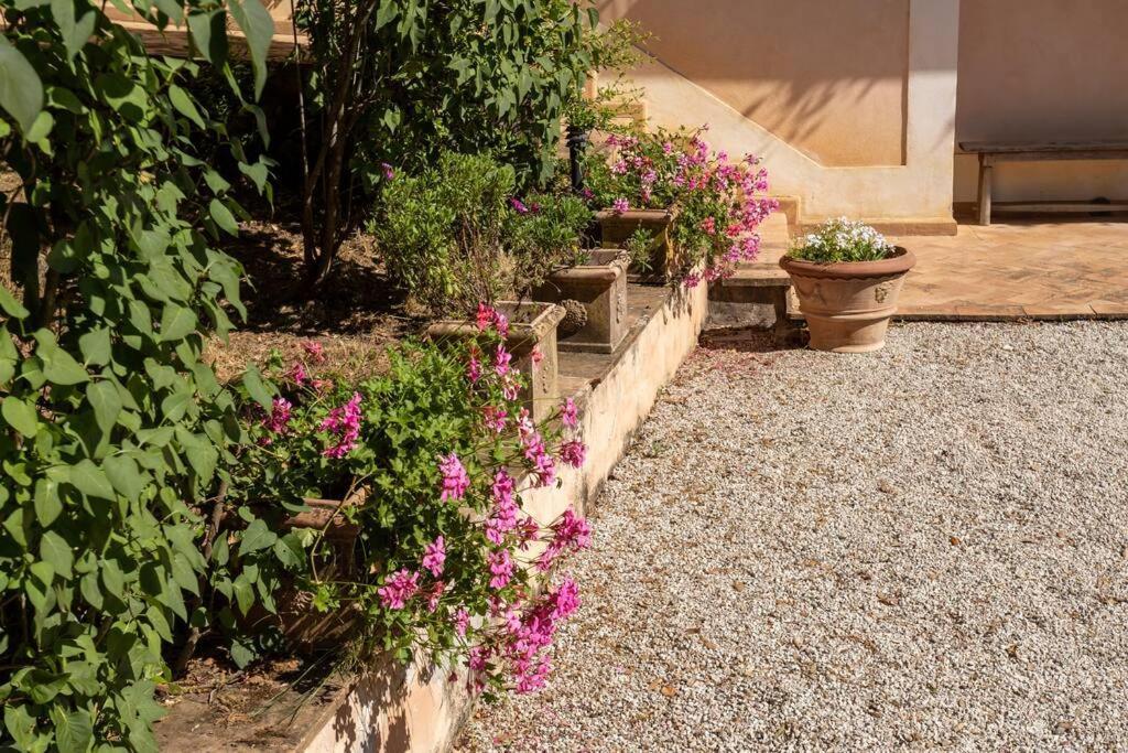 Apartment In Nature,10Min From City Perugia Eksteriør billede