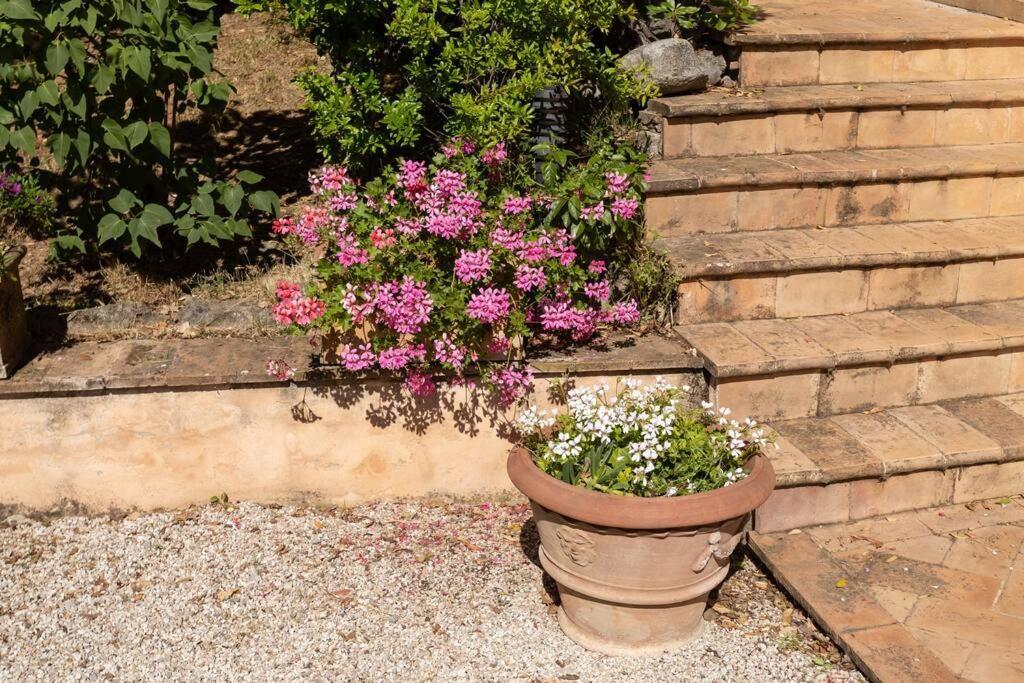 Apartment In Nature,10Min From City Perugia Eksteriør billede